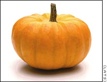 http://www.creativebiblestudy.com/images/pumpkin.jpg