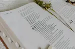 Bible Psalms
