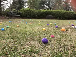 Easter hunt7