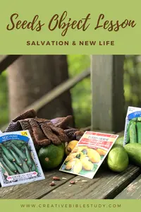 Salvation Object Lesson with Seeds