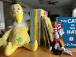 new dr seuss