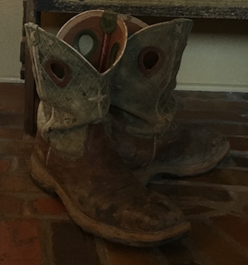 The hotsell shoe man