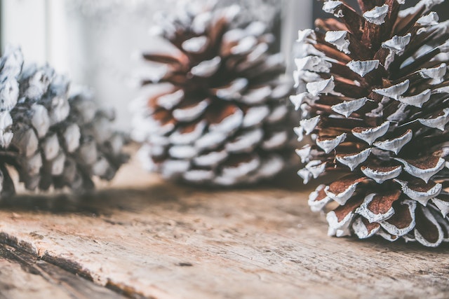 Christmas pinecones