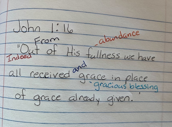 Bible Verse John 1:16